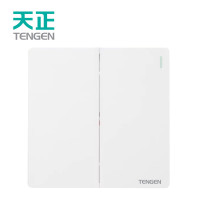 天正 V5-K21 二开单控开关 插座 (计价单位:个) 白色