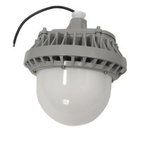 领航电器(LHDQ) LHF2109C 50W IP65 220V 冷光 色温6000K 光源类型LED LED平台灯 (计价单位:个) 灰色