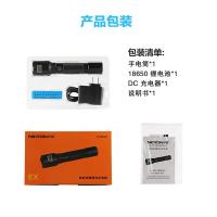 耐朗 EXB90 3.7V 1/3W IP65 袖珍防爆调光手电筒 (计价单位:个) 黑色