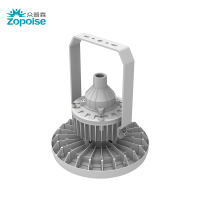 众普森 ZPS BA310 220V 50W Exd IIC T6 Gb IP66 LED 防爆平台灯 (计价单位:台) 灰色