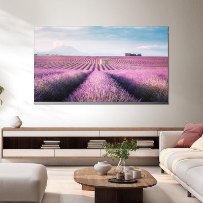 TCL 液晶电视机 65P11K 65英寸 QLED超薄一体化设计 智能语音