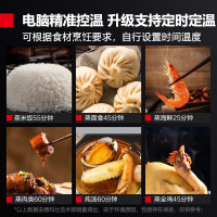 德玛仕 商用蒸饭箱 KZ-125DW3 安全防干烧蒸柜[不带蒸盘]微电脑款 12盘 定时款