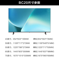 创维(SKYWORTH)55BC20