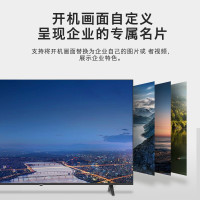 创维(SKYWORTH)65BC20