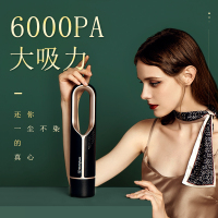 西屋(WESTINGHOUSE)手持吸尘器WXC-10A/11A黑