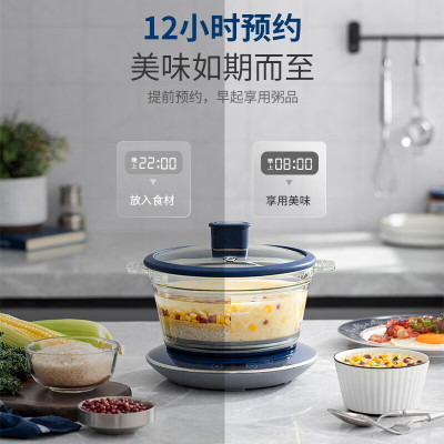 摩飞 养生锅电炖锅家用多功能电煮锅隔水燕窝炖盅炖汤锅煲粥锅小炖锅 MR9081(LX)