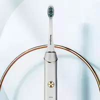 西屋(Westinghouse) 电动牙刷成人声波震动牙刷 情侣款电动牙刷 WT-505白