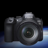 佳能 EOS R6 24-105USM 照相机标配