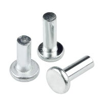 海伟 铆钉3.2×810组起拍