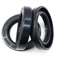 海伟骨架油封250×290×18套