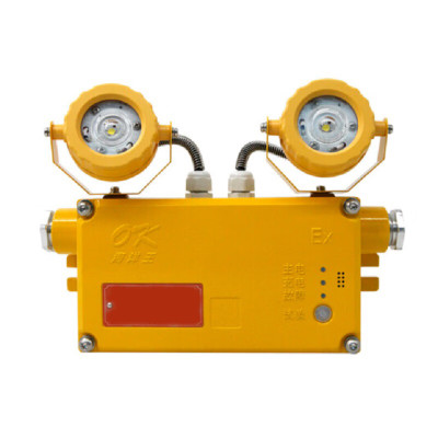 CNFB 深圳海洋王消防应急照明灯具OK-ZFZD-E6W8121(LED:12×0.5W) 千件/组,10组起拍