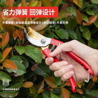 得力 DL580231专业果农修枝剪全金属手柄(红)8