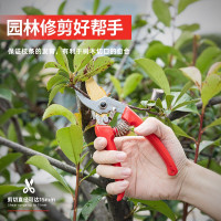 得力 DL580232专业果农修枝剪全金属手柄(红)8