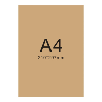 得力盛泰档案(STDA) 120克A4空白无酸纸牛皮纸封面脊背纸(5盒装)