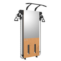 舒华壁挂式拉绳训练器SH-G699