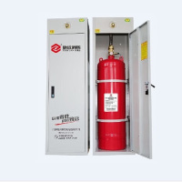 冰禹 柜式七氟丙烷气体灭火装置 GQQ100L/2.5-ZY 套 100L