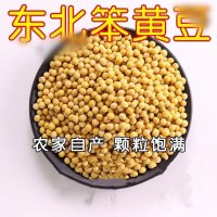 中锐智采 小黄豆 农家笨黄豆1斤装 散装