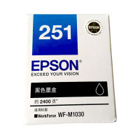 爱普生(EPSON)T251墨盒原装黑色