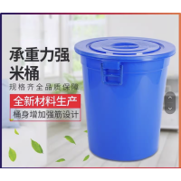 德力彩 储水桶 塑料桶100L 个