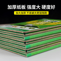 欧克乐(Ou Ke le)粘鼠板超强力老鼠贴老鼠笼非老鼠药加大加厚黏鼠板灭鼠捕鼠神器夹 10张装