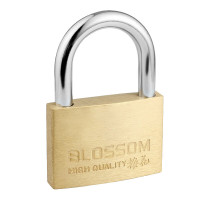 梅花铜挂锁 防水防锈家用锁具 宿舍挂锁柜门锁 防盗窗锁头55mm(076)