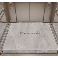 中锐智采 高端耐磨电梯轿厢地板pvc地胶电梯地垫仿大理石防滑出入电梯轿厢 2.0防水阻燃加厚耐磨款