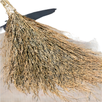 艾贝丽加密大扫把 竹扫把 3.5斤带叶竹枝连体 米色