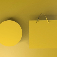 新款 旅游终端盒装(5包装)