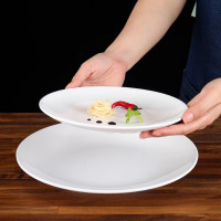 10寸盘餐具 圆形烧烤盘树脂胶塑料碟子25.3*25.3 *2cm