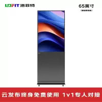 LED显示屏 洛菲特/LOFIT LFT65JW-DL1 全彩色显示屏 室内 65英寸