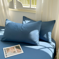 欧帝雅 ODY-ZT-0011 枕套宝兰 74*48cm 单位:件