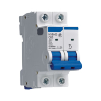 汇特益 空气开关 NXB-63 2P C63 2P 60A(单位:个)