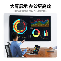 Hittery 电脑显示器VDA转接头线 DP105 10247(单位:条)