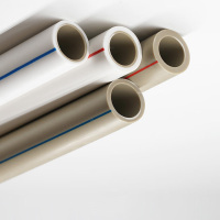 联塑(LESSO) PPR水管 DN25 2米/根 10根/组(单位:组)