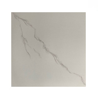 美瑞欧 仿通体大理石纹背景墙砖地板砖 60*60cm 10块/组(单位:组)