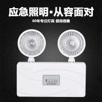 艾克心 消防应急照明灯具 F-ZFZD-E3W-228A2 10个/组(单位:组)