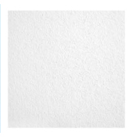 Hittery 石膏天花板 W1081平板 600*1200*17mm 8片/箱(单位:箱)