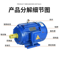 艾克心 双速三相异步电动机 YD160L-6/4-9/11KW 卧式 不含配送上门 货期5天(单位:个)