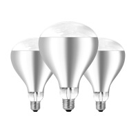 艾克心 浴霸取暖灯泡 275W 125*165mm 银色(单位:个)