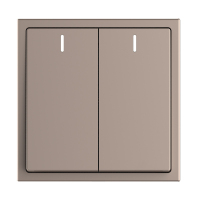 京工京采 二位单控荧光大板开关 CD212系列 香槟金(单位:个)