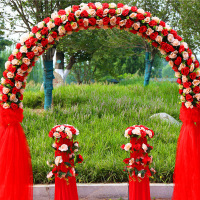 汇特益 拱型拱门 喜庆雪纱花门绢花拱型拱门 拱形香槟+大红 含路引*2(香槟+大红铁架款)定制 不含安装 (单位:套)