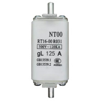 汇特益 低压高分断能力熔断体 NT00 RT16-00 R031 125 A (单位:个)货期9天