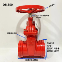 奥托多尔 卡箍沟槽暗杆闸阀 球墨铸铁 201不锈钢阀杆 DN250 闸阀长度28.6cm 国标体(单位:个)