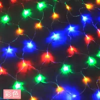汇特益 彩灯 LED网灯彩灯闪灯串灯 彩色 2米*3米192灯[防水带尾插]220v(单位:条)