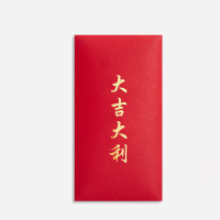 汇特益 新年红包 百元平放(17*9CM) 大吉大利 10个/包 2包/组(单位:组)