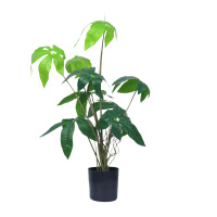 汇特益 仿真绿萝盆栽 小发财树盆栽 高度65cm 盆直径12cm(单位:盆)