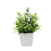汇特益 仿真盆栽室内绿植成品摆件 AL99-019 24盆/组(单位:组)