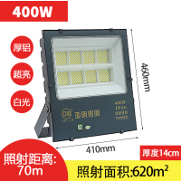 汇特益 led投光灯户外防水超亮泛光灯射灯工程防雷灯 超亮带驱动工程款400W白光(单位:个)