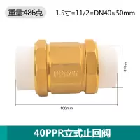 艾克心 PPR40 1.5寸立式黄铜止回阀 2个/组(单位:组)
