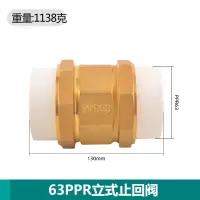 艾克心 PPR63 2.5寸立式黄铜止回阀 2个/组(单位:组)